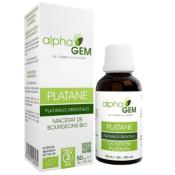 Extrait de bourgeons de Platane BIO