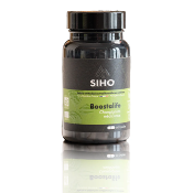 Boostalife BIO 60 gel