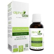 Extrait de bourgeons de cornouiller BIO