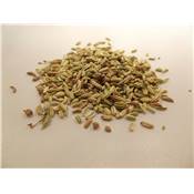 Fenouil semences BIO 100g