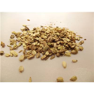 Angélique semences BIO 100 g